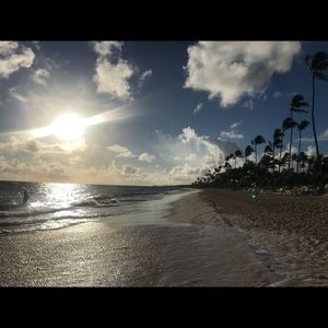 Meet your Posher, Amelie